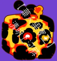 Magma