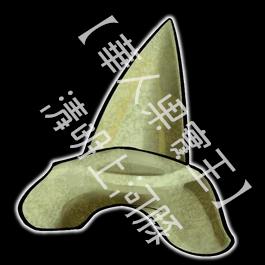 鯊魚牙（Shark Tooth）