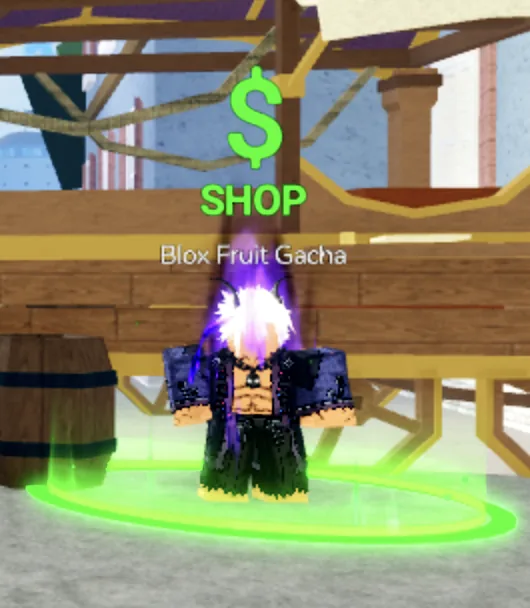 果實轉蛋（Blox Fruit Gacha）NPC，活動期間和他對話就能選夏日磁鐵轉蛋